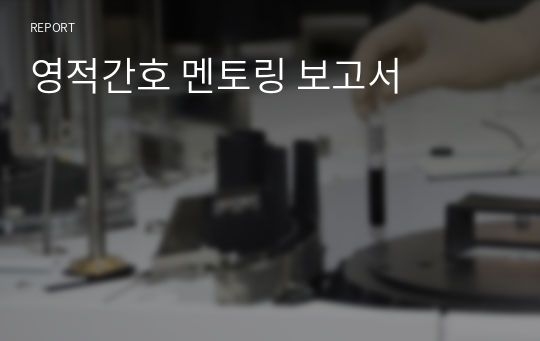 영적간호 멘토링 보고서