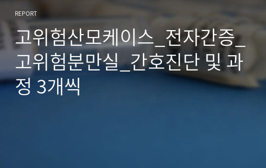 고위험산모케이스_전자간증_고위험분만실_간호진단 및 과정 3개씩