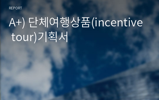 A+) 단체여행상품(incentive tour)기획서