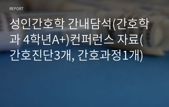 성인간호학 간내담석(간호학과 4학년A+)컨퍼런스 자료(간호진단3개, 간호과정1개)