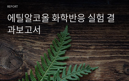 에틸알코올 화학반응 실험 결과보고서