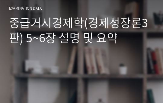 중급거시경제학(경제성장론3판) 5~6장 설명 및 요약