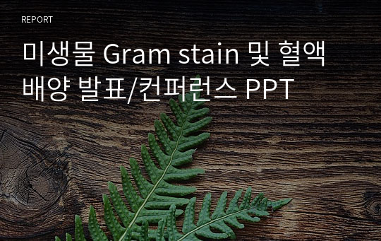 미생물 Gram stain 및 혈액배양 발표/컨퍼런스 PPT
