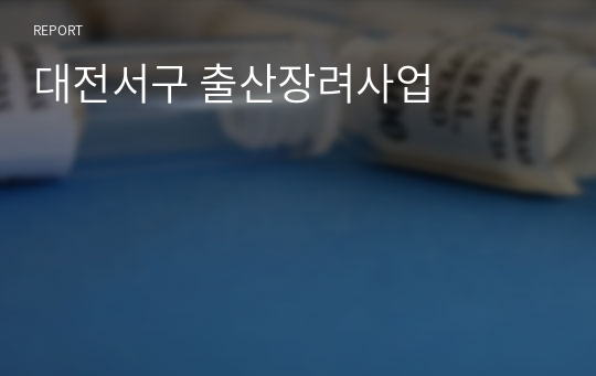 대전서구 출산장려사업