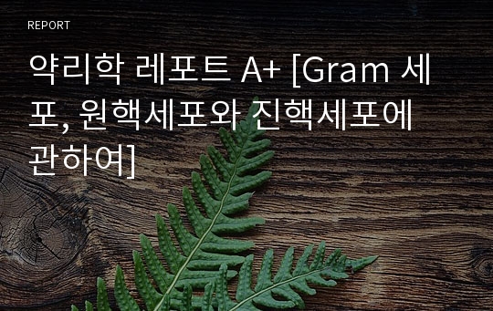 약리학 레포트 A+ [Gram 세포, 원핵세포와 진핵세포에 관하여]