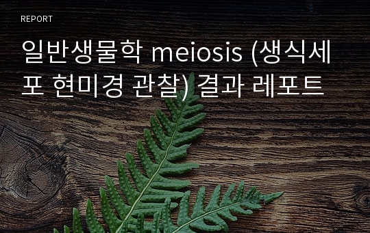 일반생물학 meiosis (생식세포 현미경 관찰) 결과 레포트