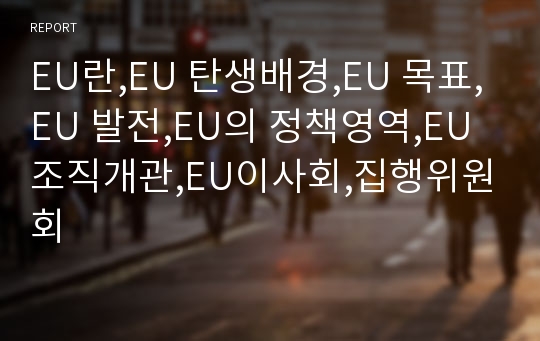 EU란,EU 탄생배경,EU 목표,EU 발전,EU의 정책영역,EU 조직개관,EU이사회,집행위원회