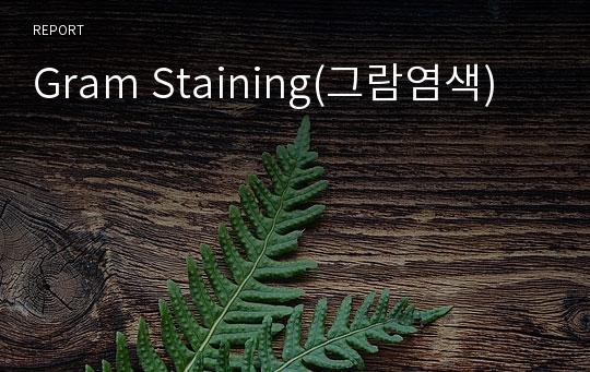 Gram Staining(그람염색)