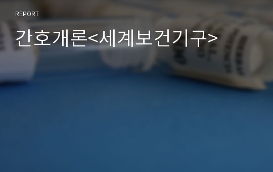 간호개론&lt;세계보건기구&gt;