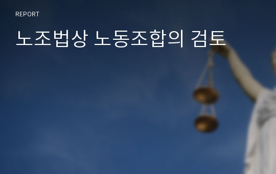 노조법상 노동조합의 검토