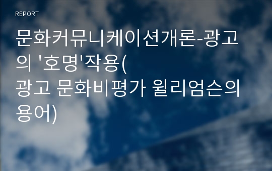 문화커뮤니케이션개론-광고의 &#039;호명&#039;작용(광고 문화비평가 윌리엄슨의 용어)