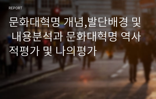 문화대혁명 개념,발단배경 및 내용분석과 문화대혁명 역사적평가 및 나의평가