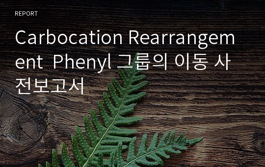 Carbocation Rearrangement  Phenyl 그룹의 이동 사전보고서