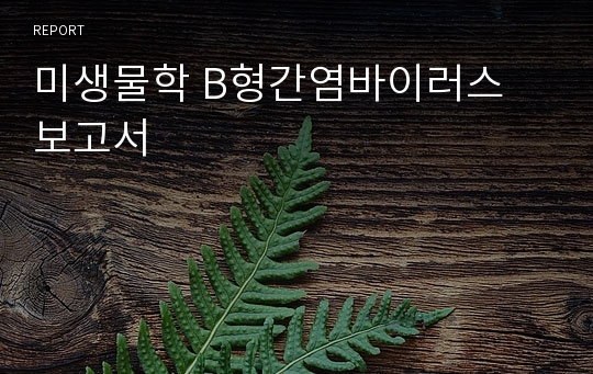 미생물학 B형간염바이러스 보고서