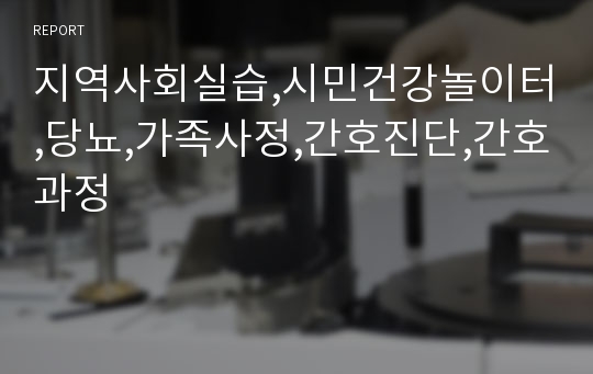 지역사회실습,시민건강놀이터,당뇨,가족사정,간호진단,간호과정