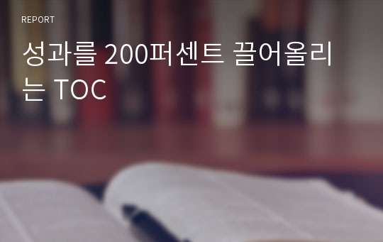 성과를 200퍼센트 끌어올리는 TOC