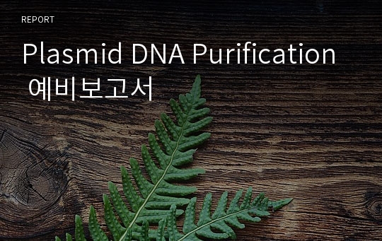 Plasmid DNA Purification 예비보고서