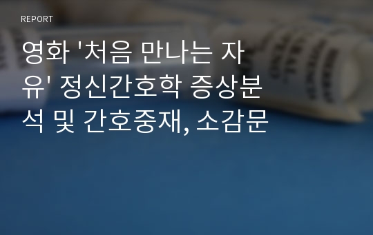 영화 &#039;처음 만나는 자유&#039; 정신간호학 증상분석 및 간호중재, 소감문