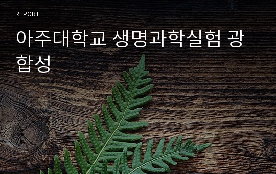 아주대학교 생명과학실험 광합성