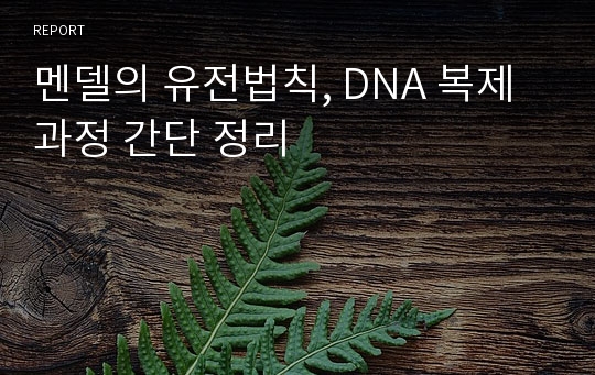 멘델의 유전법칙, DNA 복제과정 간단 정리
