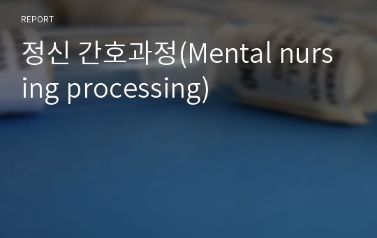 정신 간호과정(Mental nursing processing)