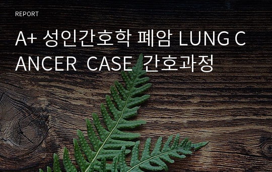 A+ 성인간호학 폐암 LUNG CANCER  CASE  간호과정