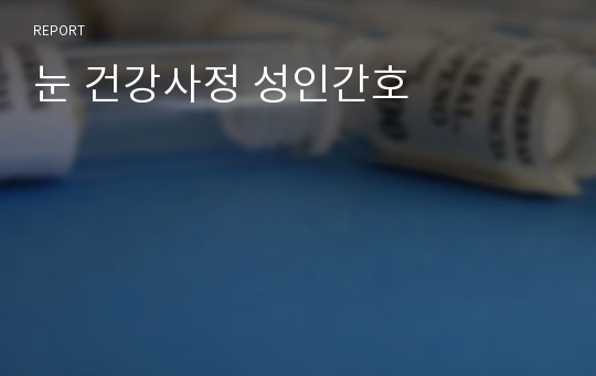 눈 건강사정 성인간호