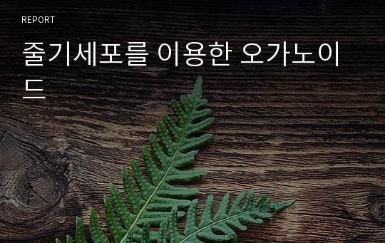 줄기세포를 이용한 오가노이드