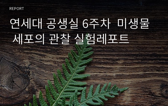 연세대 공생실 6주차  미생물 세포의 관찰 실험레포트