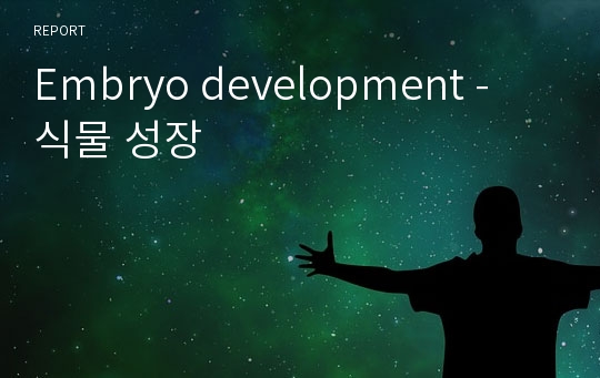 Embryo development - 식물 성장