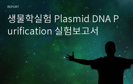 생물학실험 Plasmid DNA Purification 실험보고서