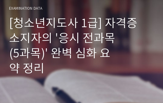 [청소년지도사 1급] 자격증 소지자의 &#039;응시 전과목(5과목)&#039; 완벽 심화 요약 정리