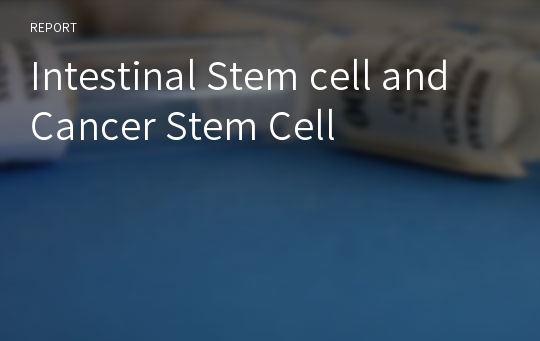 Intestinal Stem cell and Cancer Stem Cell