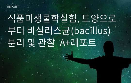 식품미생물학실험, 토양으로부터 바실러스균(bacillus) 분리 및 관찰  A+레포트!