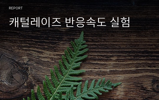 캐털레이즈 반응속도 실험