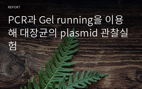 PCR과 Gel running을 이용해 대장균의 plasmid 관찰실험_서울대학교 생물학 실험