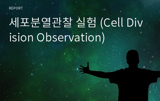 세포분열관찰 실험 (Cell Division Observation)