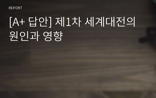 [A+ 답안] 제1차 세계대전의 원인과 영향