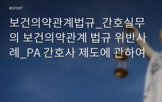 보건의약관계법규_간호실무의 보건의약관계 법규 위반사례_PA 간호사 제도에 관하여