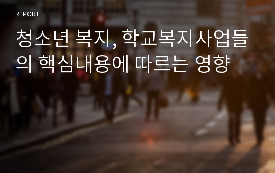 청소년 복지, 학교복지사업들의 핵심내용에 따르는 영향