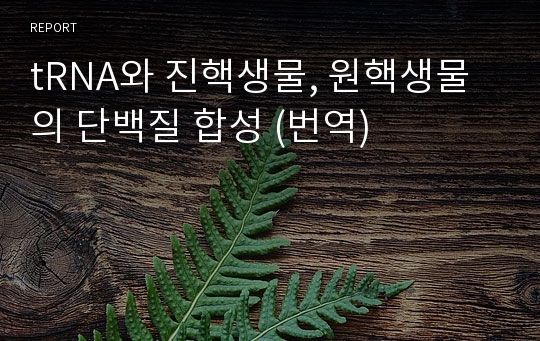 tRNA와 진핵생물, 원핵생물의 단백질 합성 (번역)