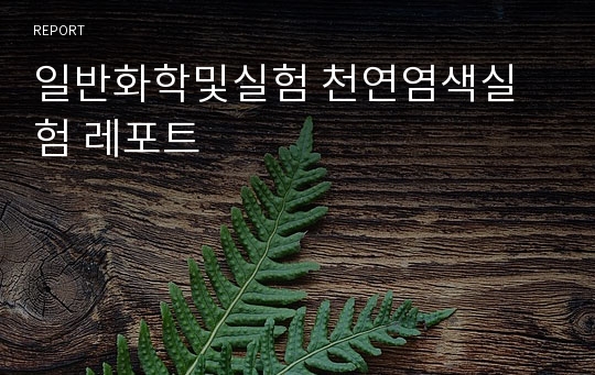 일반화학및실험 천연염색실험 레포트