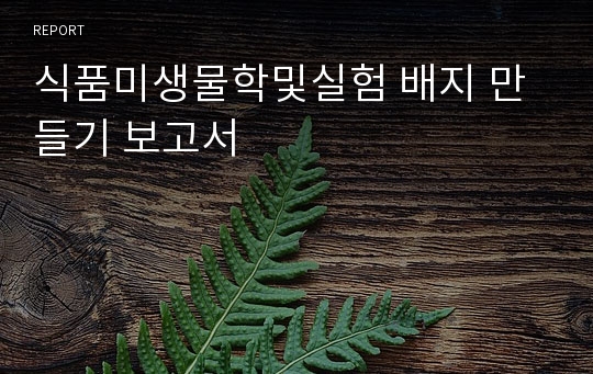 식품미생물학및실험 배지 만들기 보고서