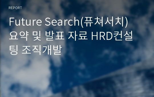 Future Search(퓨쳐서치) 요약 및 발표 자료 HRD컨설팅 조직개발