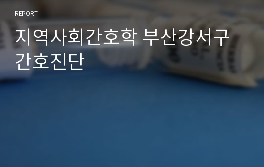 지역사회간호학 부산강서구 간호진단