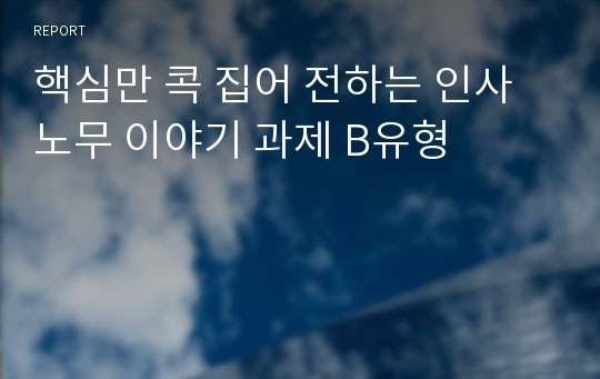 핵심만 콕 집어 전하는 인사노무 이야기 과제 B유형