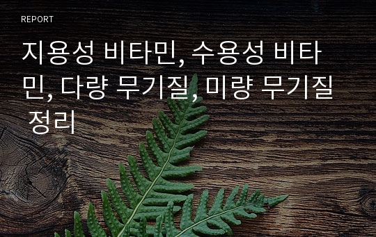 지용성 비타민, 수용성 비타민, 다량 무기질, 미량 무기질 정리