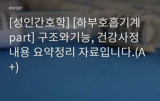 [성인간호학] [하부호흡기계 part] 구조와기능, 건강사정 내용 요약정리 자료입니다.(A+)