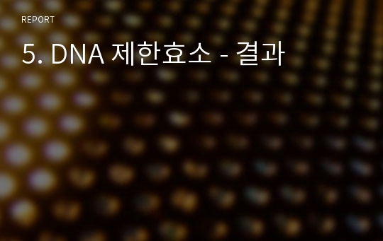 5. DNA 제한효소 - 결과