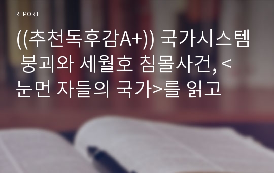 ((추천독후감A+)) 국가시스템 붕괴와 세월호 침몰사건, &lt;눈먼 자들의 국가&gt;를 읽고